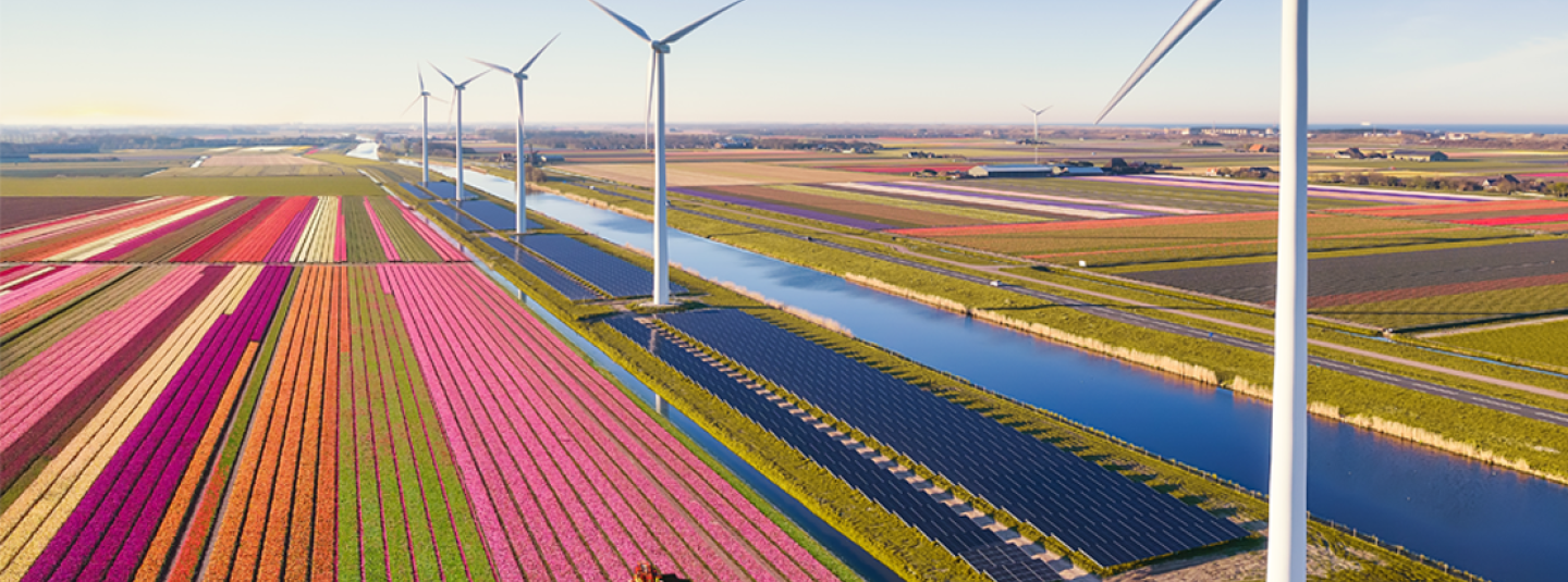Sustainability FAQ Guide: An Introduction