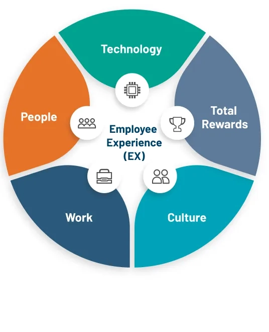 Fünf Bausteine der Employee Experience: Work, People, Technology, Total Rewards und Culture.