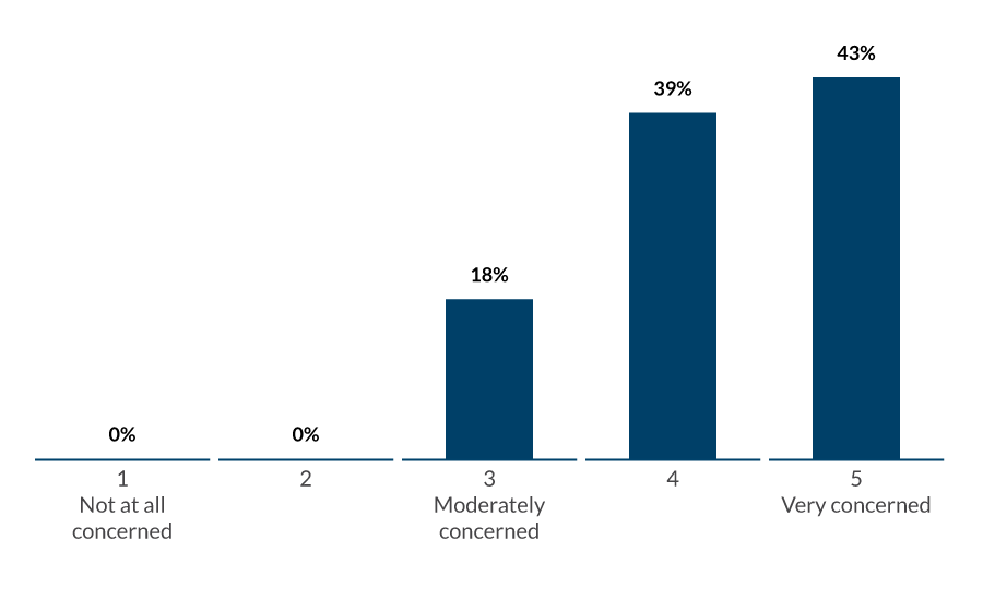 How concerned are you about the security risks (for example, breaches, data loss, improper controls, poor access management) associated with implementing innovative new technologies?