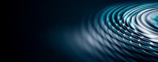 Disruptors see the world differently